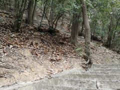 -大屏嶂森林公园