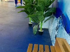 -绍兴启迪乔波冰雪世界