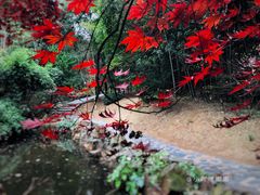 -穹窿山景区