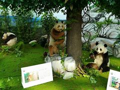 -西安大唐西市博物馆