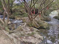 -花溪公园