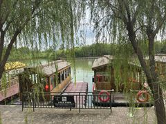 -泗洪洪泽湖湿地景区