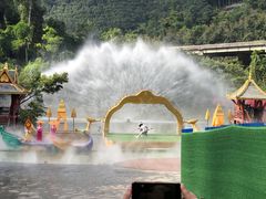 -西双版纳原始森林公园