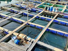 -蓝湾碧波·老字号·疍家非遗海上餐厅