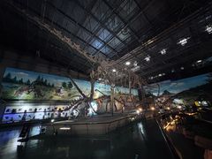 -中国西峡恐龙遗迹园
