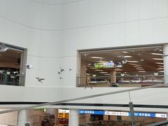 -厦门五通客运码头