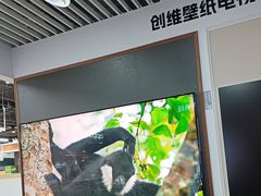 -苏宁易购(Suning Pro北京立水桥店)