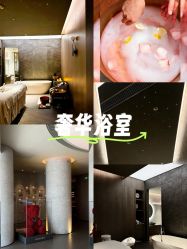 -VELEE·SPA高定疗愈会所