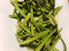 -Mountain House Flushing 川山甲