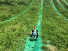 android_upload_pic-南戴河国际娱乐中心