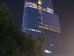 -紫峰大厦