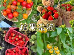 -上海山野camping·户外天幕烧烤·团建拓展营地