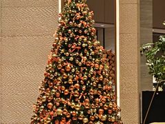 -博林天瑞喜来登酒店·西丽尚膳