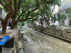 -小洲村