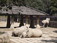 -杭州野生动物世界