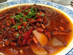 -院8里·少城记忆老川菜(宽窄巷子店)