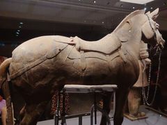 -秦始皇帝陵博物院-丽山园