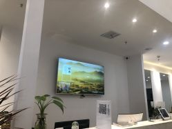 -YESIDO椰岛造型