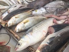 -霞海鸭仔饭店(海滨大道北店)