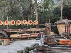 -天目湖山水园