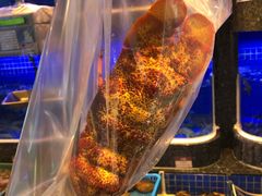 -協成海鮮火鍋(老店)
