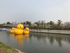 -菊园百果园