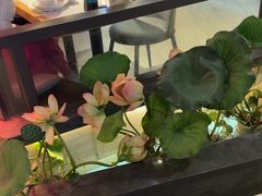 -客家班·客家菜(嘉禾金铂店)