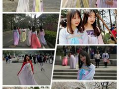 -武汉大学-樱园