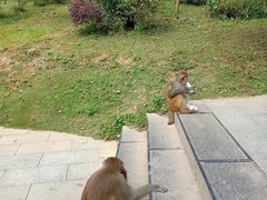 -黔灵山公园