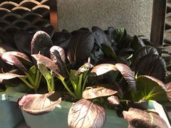 -乾州食府(小雁塔店)