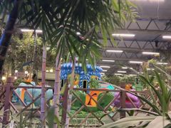 -南宫五洲植物乐园