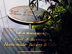 -Fern Forest Cafe
