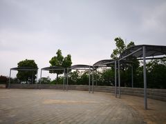 -羊山湖公园