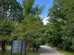 -国家植物园南园