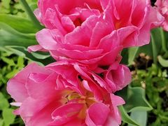 -北京植物园南门售票处