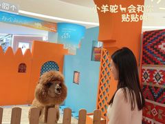 -龙湖西安曲江天街