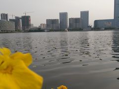 -聚龙湖公园