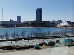 -羲和雅苑•北京烤鸭(乐园道万象城店)