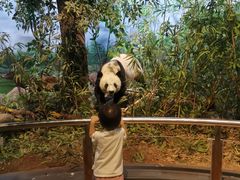 -陕西自然博物馆