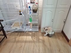 -iF摄影•全家福•证件照•形象照(南山店)