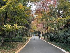 -昆明植物园