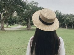 -万绿园