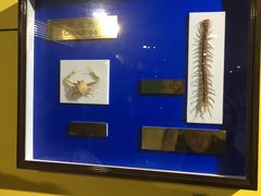 -上海昆虫博物馆