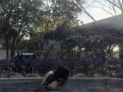 -汤山一号温泉度假区