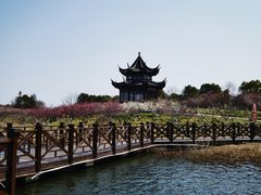 -上海海湾国家森林公园