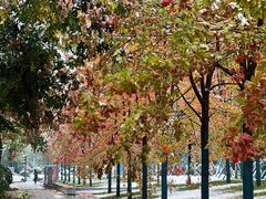 -西安电影制片厂