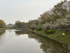 -上海海湾国家森林公园