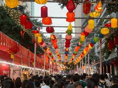 -越秀西湖花市(广州城市广场花卉店)