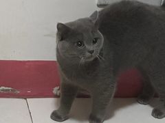 -暖阳宠物医院·犬猫康复中心·骨科