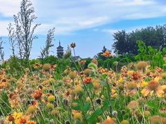 -缘久缘米粉(新街口店)